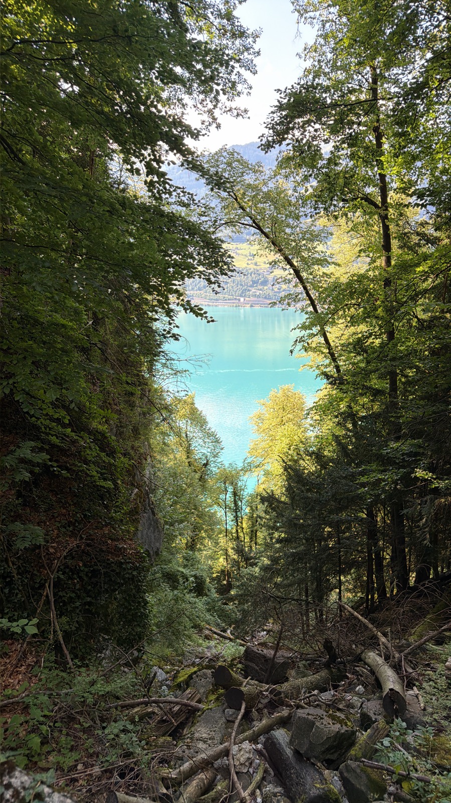 Photo from the hike, 9:30 AM