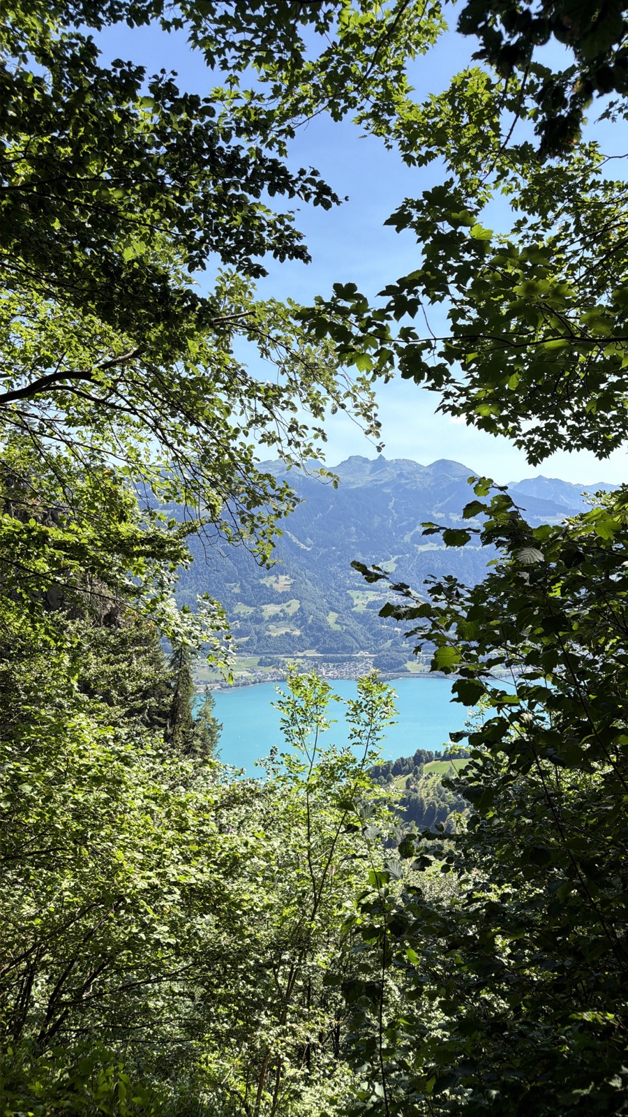 Photo from the hike, 4:10 PM